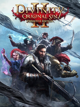 Divinity: Original Sin 2 | Definitive Edition